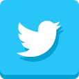 Twitter Page Icon Link